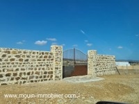 TERRAIN MZIRAA Hammamet Birbouregba I T1024
