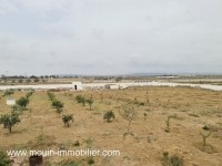 TERRAIN NASR 3 à Hammamet Sud T1053
