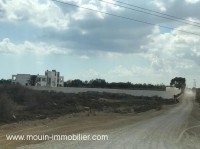 TERRAIN NASR 3 I Hammamet Sud T1053