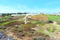 terrain pied dans l’eau à vendre à chraf bekalta