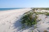 terrain plage korba Km9 VERS Lebna
