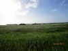 terrain plage korba Km9 VERS Lebna