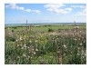 terrain plage korba Km9 VERS Lebna