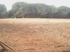 Terrain pour agriculture et bâtiment