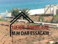 terrain première position de la mer