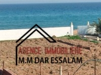 terrain première position de la mer