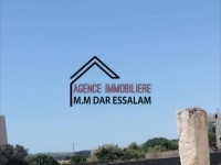 terrain première position de la mer