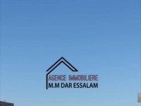 terrain première position de la mer