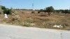 terrain près de hammamet sud