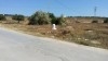 terrain près de hammamet sud