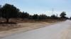 terrain près de hammamet sud