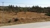 terrain près de hammamet sud