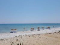 terrain pres de la mer 