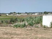 terrain près de la mer
