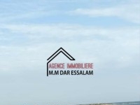 terrain près de la mer