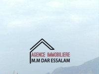 terrain près de la mer