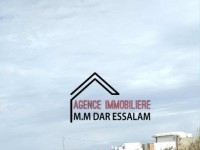 terrain près de la mer