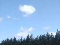 terrain près de la route principale 