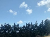 terrain près de la route principale 