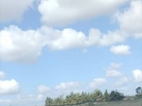 terrain près de la route principale 