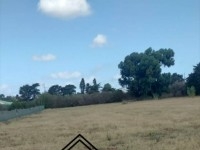 terrain près de la route principale 