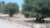 terrain route Djerba