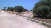 terrain route Djerba