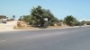 terrain route Djerba