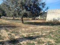 Terrain route Jdidi