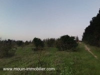 Terrain Sidra T1199 Hammamet 