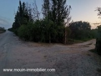 Terrain Sidra T1199 Hammamet 
