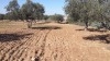 Terrain situé à Hergla