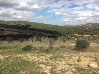 Terrain Soltan ref T594 Hammamet 