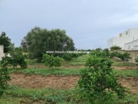 TERRAIN SOUMA Hammamet T876