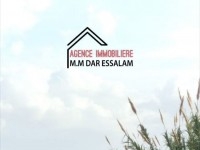 terrain sur la route principale