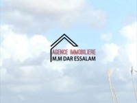 terrain sur la route principale