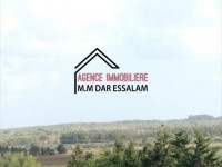 terrain sur la route principale