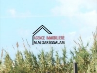 terrain sur la route principale