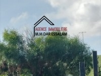 terrain sur la route principale