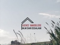 terrain sur la route principale