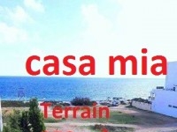 terrain tantana