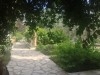TERRAIN VERT - Hammamet t100