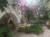 TERRAIN VERT - Hammamet t100