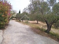 Terrain viabilisé à vendre à Hammamet Nord51355351