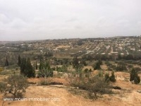 TERRAIN VIVA Birbouregba T342