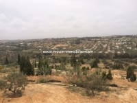 Terrain Viva ref T342 Hammamet