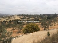 Terrain Viva ref T342 Hammamet