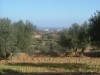 TERRAIN  VUE  MER  A CHATT MERIEM
