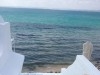 THE POOL HOUSE