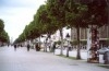 Tunis Avenue Bourguiba Fond tout commerce